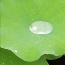 멤버 프로필