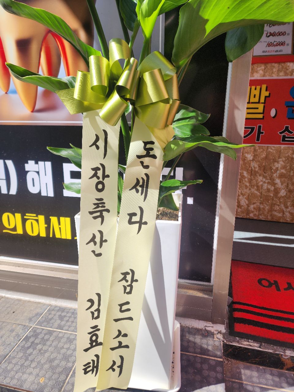 피드 이미지