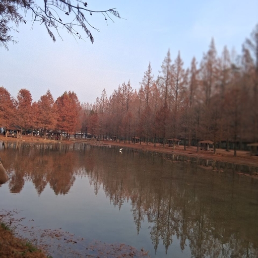 ํผ๋ ์ด๋ฏธ์ง