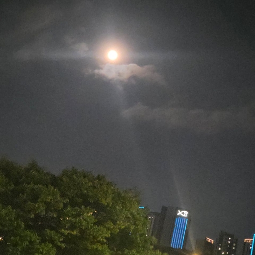 피드 이미지
