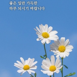 피드에 업로드 된 이미지
