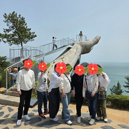 피드에 업로드 된 이미지