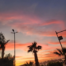 피드에 업로드 된 이미지