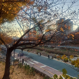 피드에 업로드 된 이미지