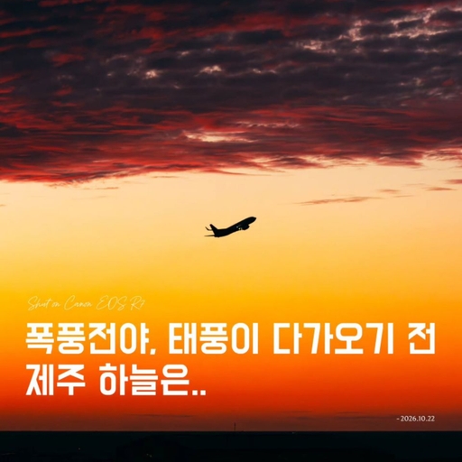 피드 이미지