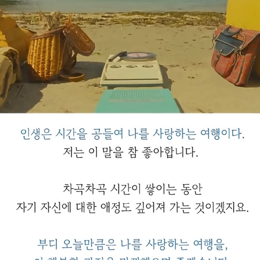 피드 이미지