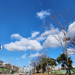 피드에 업로드 된 이미지