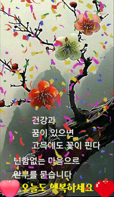 피드에 업로드 된 이미지