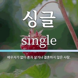 피드에 업로드 된 이미지