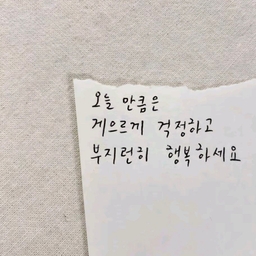 피드에 업로드 된 이미지
