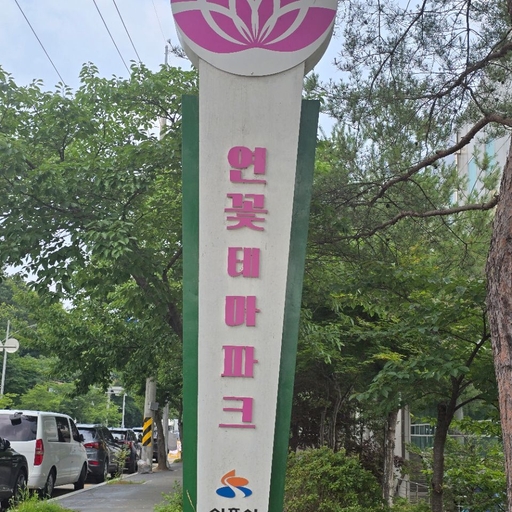 피드 이미지