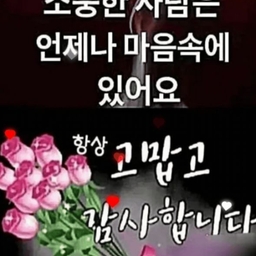 피드에 업로드 된 이미지
