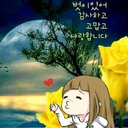 피드에 업로드 된 이미지