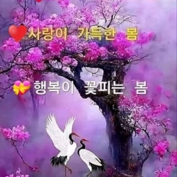 피드에 업로드 된 이미지