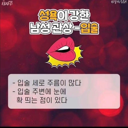 피드 이미지