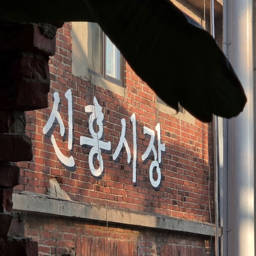 피드 이미지