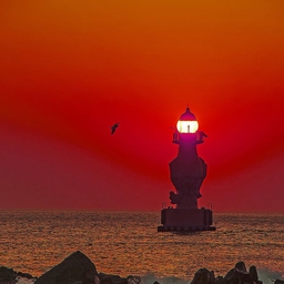 피드에 업로드 된 이미지