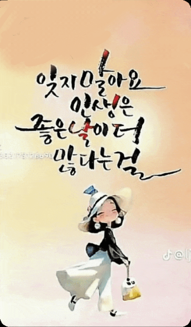 피드 이미지