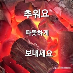 피드에 업로드 된 이미지