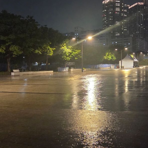 피드 이미지
