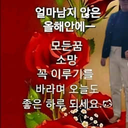 피드에 업로드 된 이미지