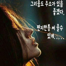 피드에 업로드 된 이미지