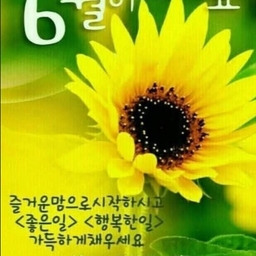 피드에 업로드 된 이미지