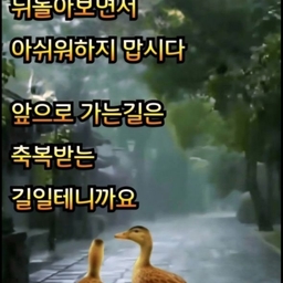 피드에 업로드 된 이미지