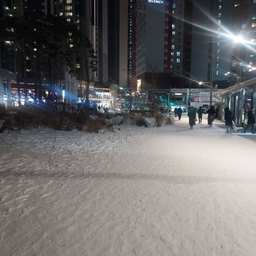 피드에 업로드 된 이미지