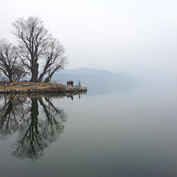 피드에 업로드 된 이미지