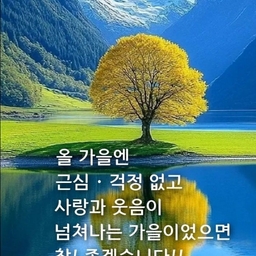 ํผ๋์ ์
๋ก๋ ๋ ์ด๋ฏธ์ง