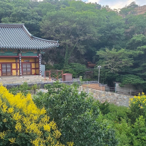 피드 이미지