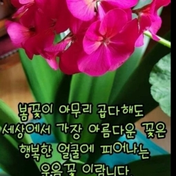 피드에 업로드 된 이미지