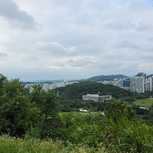 피드 이미지