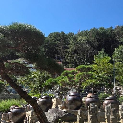 피드 이미지