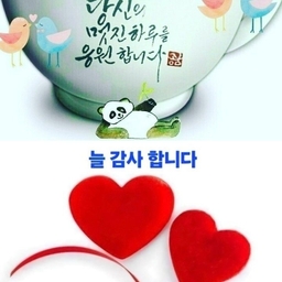 피드에 업로드 된 이미지
