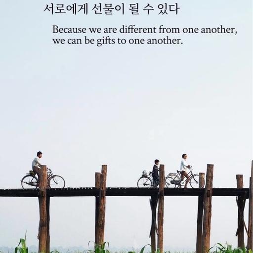 피드 이미지