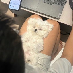 피드에 업로드 된 이미지