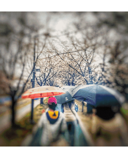 피드에 업로드 된 이미지
