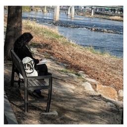 피드에 업로드 된 이미지