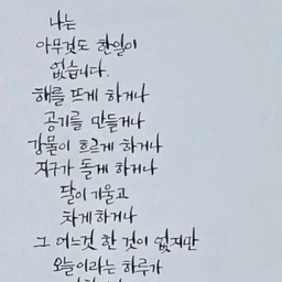 피드에 업로드 된 이미지