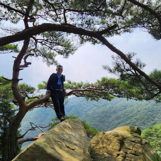 피드 이미지