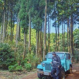 피드에 업로드 된 이미지