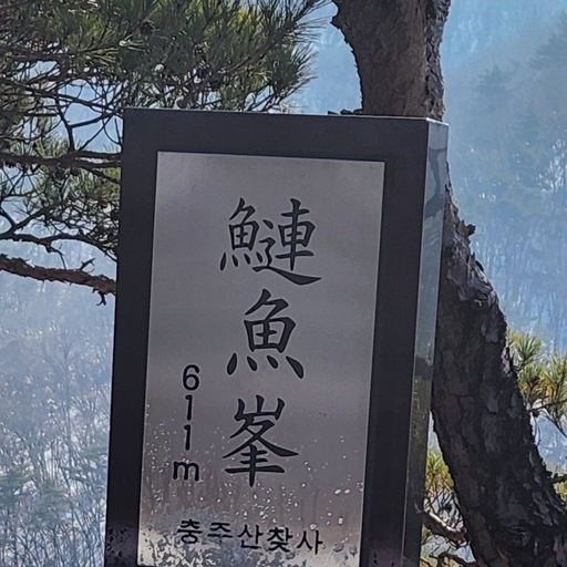 피드 이미지
