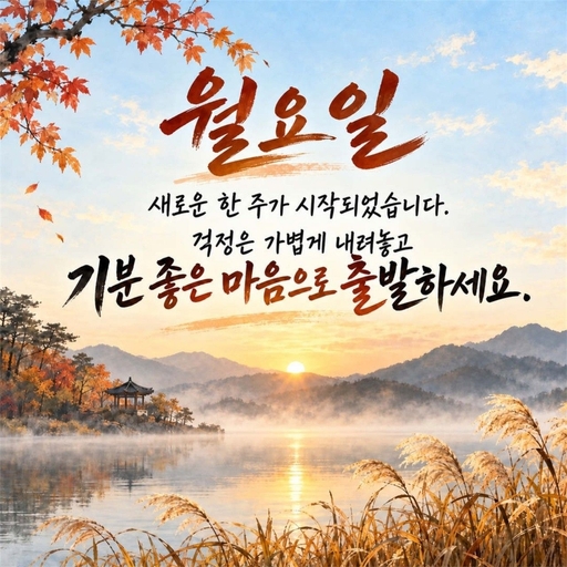 피드 이미지