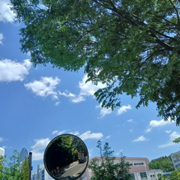 피드에 업로드 된 이미지