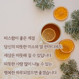 피드에 업로드 된 이미지