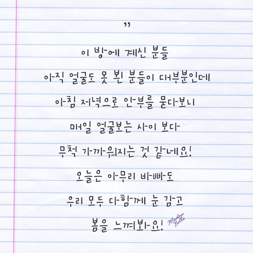피드 이미지