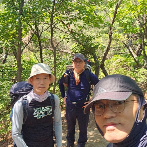 피드 이미지
