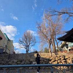 피드에 업로드 된 이미지